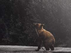 [승준명석] 호웅전(狐熊傳) (2)