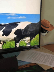 우당탕탕 신입 일기