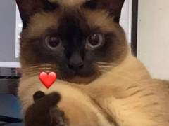 [사담] 연락 창구는 요기에!