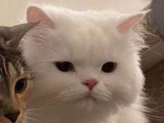 어쩌다보니 드래곤 마스터 1