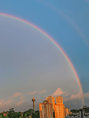 무지 개같은 사랑