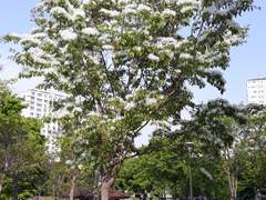 깨끗하게 화장하자