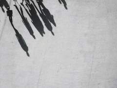 나의 재투성이 동거인