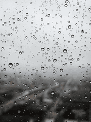 비도 씻어내지 못하는 것이 있다