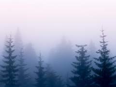 [Duskwood] 날조해본 제이크 과거사 #1