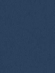 변경백 서자는 황제였다 tmi