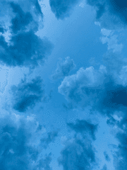 忘却에 대한 愛憎.