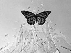 영원한 사랑보단 영원한 복종이길.