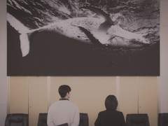 잘가요, 우영우 변호사님