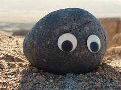 Everything Everywhere All at Once