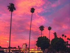 [젼션] 블루 캘리