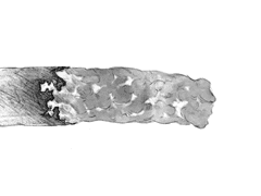 담배 뚫리는 슈퍼