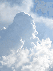 에이스 사와무라