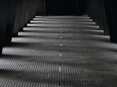 길 잃은 고양이 5