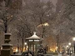 나의 크리스마스