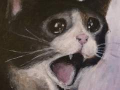 다섯 번째 회사 이야기