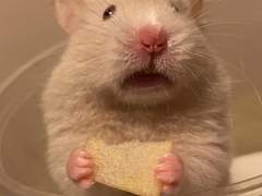 어쩌다보니 드래곤 마스터 2