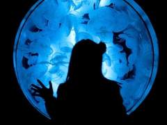 [ 서 태이 / XX / 3 ]