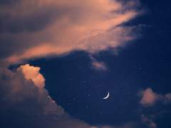 2022. 10. 23 [Left On Earth]