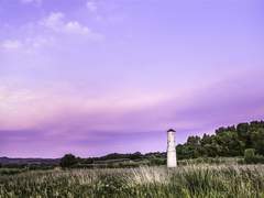 미야노 세이나 2학년 XX 메인쿤인수