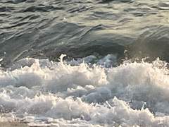 벅차오르는 자유를 향해?