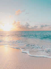 카메론 A. 콜린스