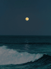 [뜰팁]용의 바다에 내린 닻별 AU