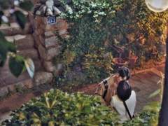 #5 매일매일을 새롭게