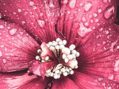 小叡ㅣ인간ㅣ20