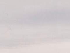 용기를 증명하는 법