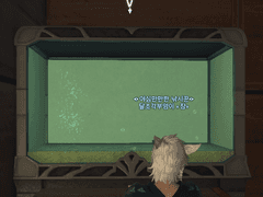 과연 흔할까? ,금붕어