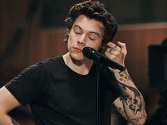 8 센티넬이라는 게 사실 단단히 도라버린 미친새끼의 다른 말 인가요?