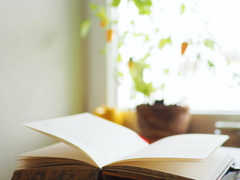 오징어를 위한 Treat Or Treat