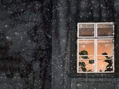 220203 #눈가루가_휘몰아치고_있어