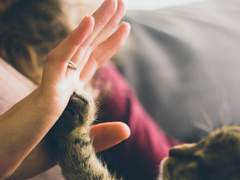 220129 #나의_처음과_끝을_모두_바칩니다