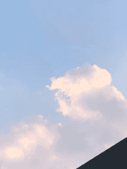 너는 나를 사랑했을까?