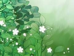 홍우솔 종족체인지