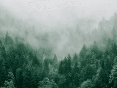 짧은 외전 [남은 것]