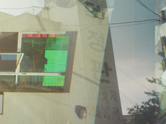 주간일기 11, 12월 첫째 주