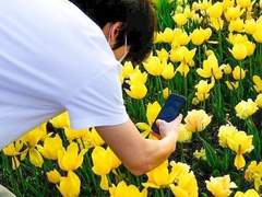 [재툥] Spring wish