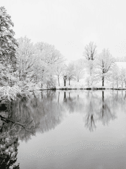 에라토 테네브리스