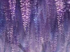 귀멸의 칼날 세계관 속에 들어간다면 6