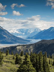 Nisha Maiastra Frost