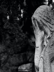 당신은 무얼 원했나요