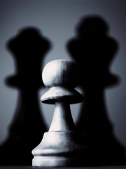 두 갈래 그림자