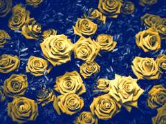 Heloise Cyma EldoraㅣHㅣHB