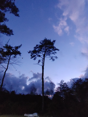 죽음과 삶에 대하여