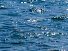 모든 이야기의 시작과 끝