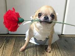 사람은 어떻게 판단하는가? -2-