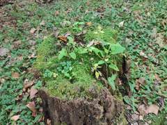 난 키스할 때 여전히 눈을 떠